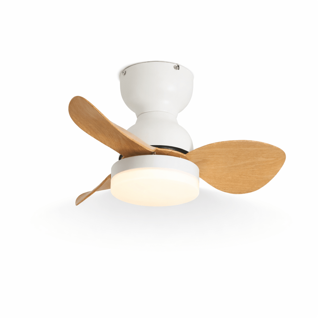 Plafonnier Ventilateur Silas Moderne