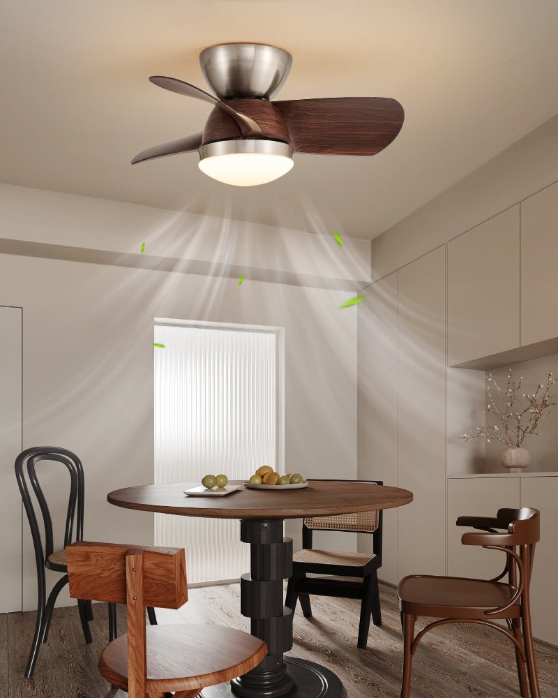 Plafonnier Ventilateur Dyms Compact