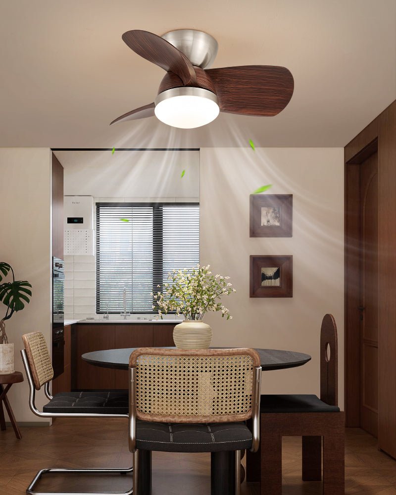 Plafonnier Ventilateur Dyms Compact