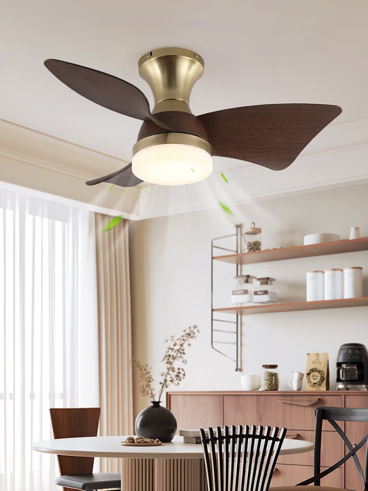 Plafonnier Ventilateur Aureon Moderne