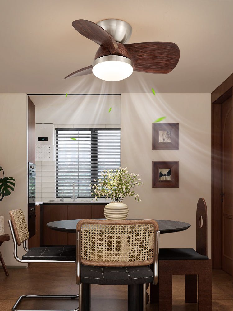 Plafonnier Ventilateur Dyms Compact