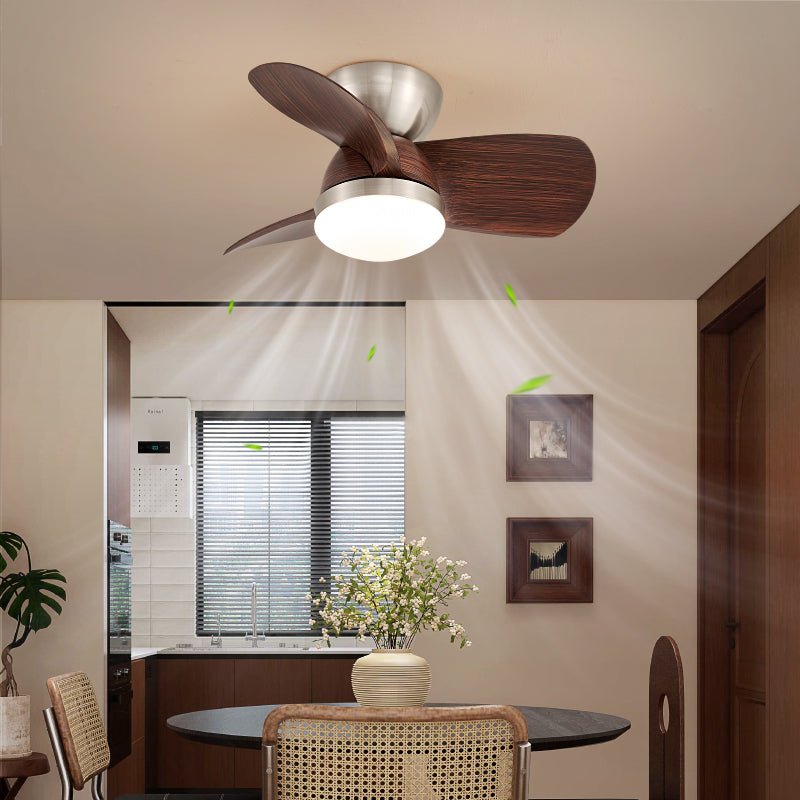 Plafonnier Ventilateur Dyms Compact