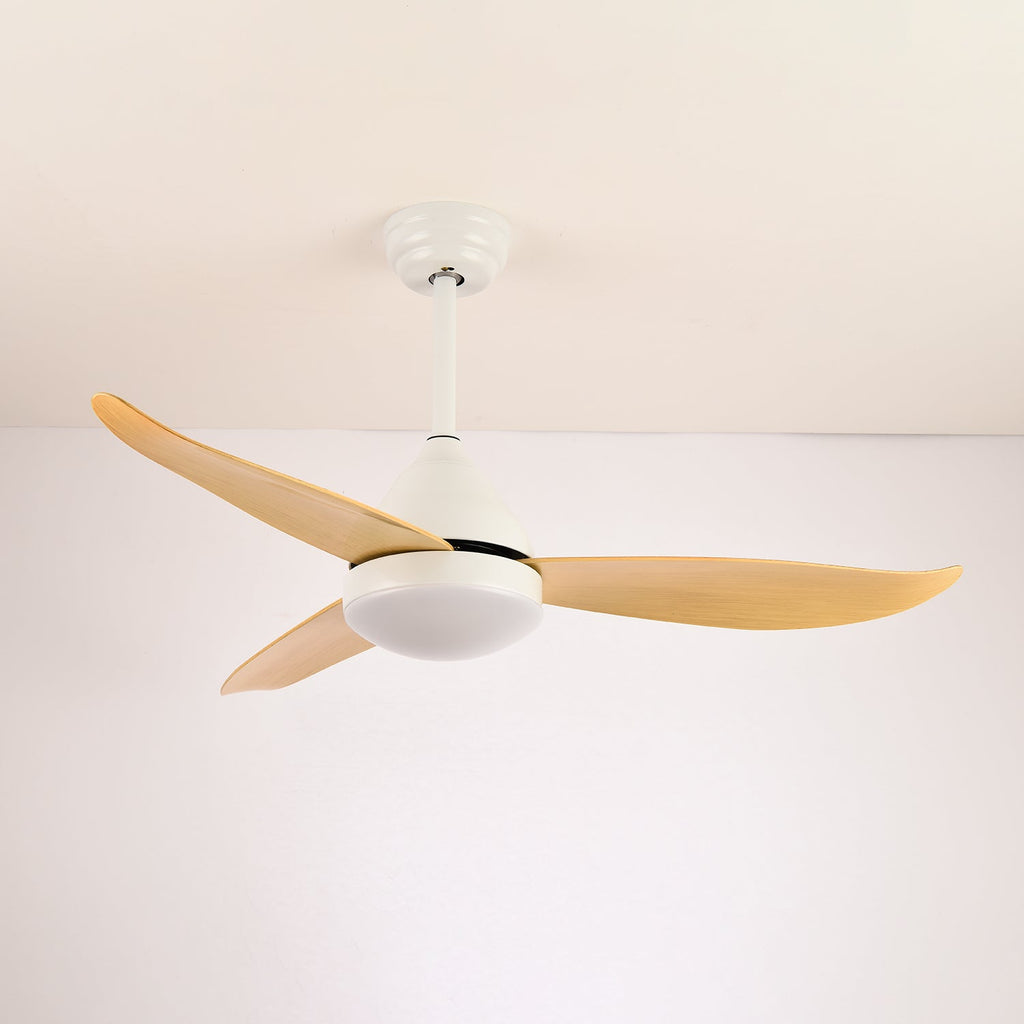 Plafonnier Ventilateur Fia Moderne