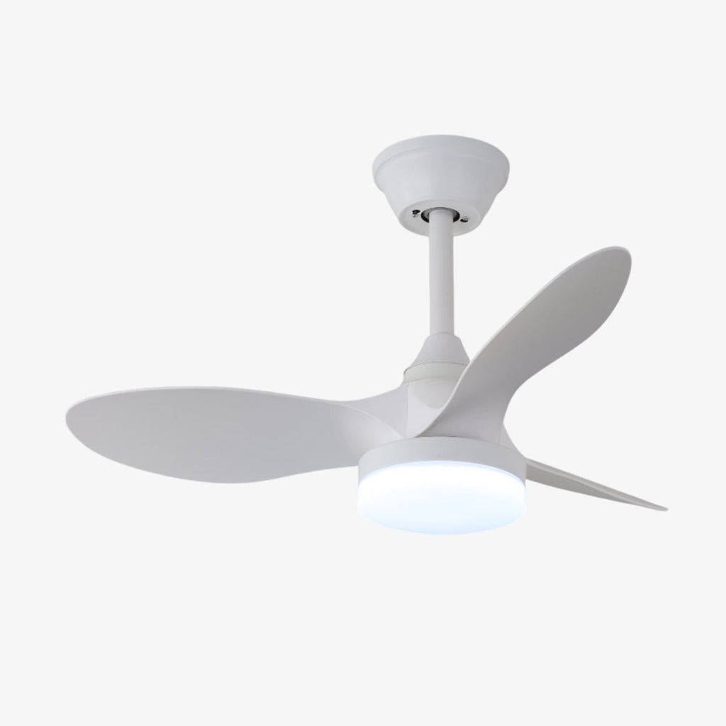 Plafonnier Ventilateur Aelric Moderne