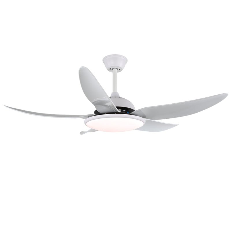 Plafonnier Ventilateur Aquila Moderne