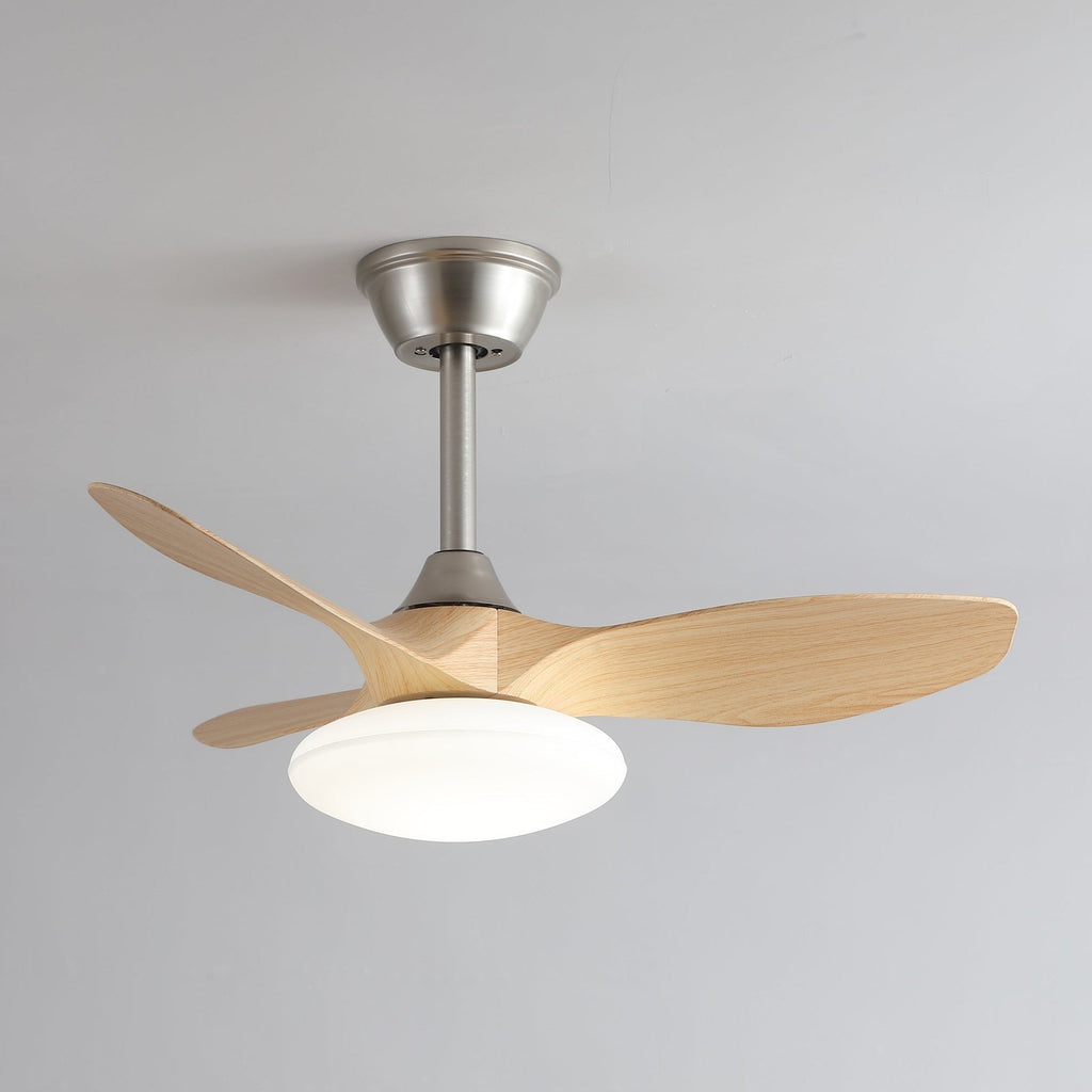 Plafonnier Ventilateur Sylvara Moderne