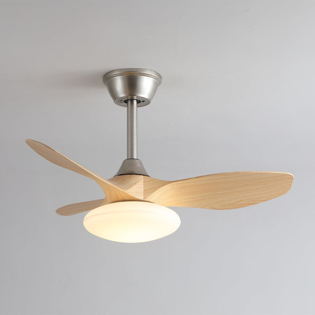 Plafonnier Ventilateur Sylvara Moderne