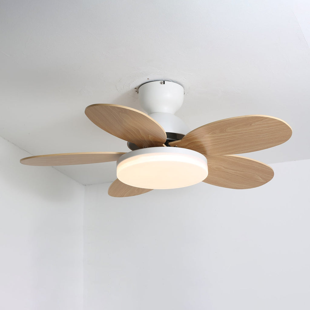 Plafonnier Ventilateur Liora Coloré