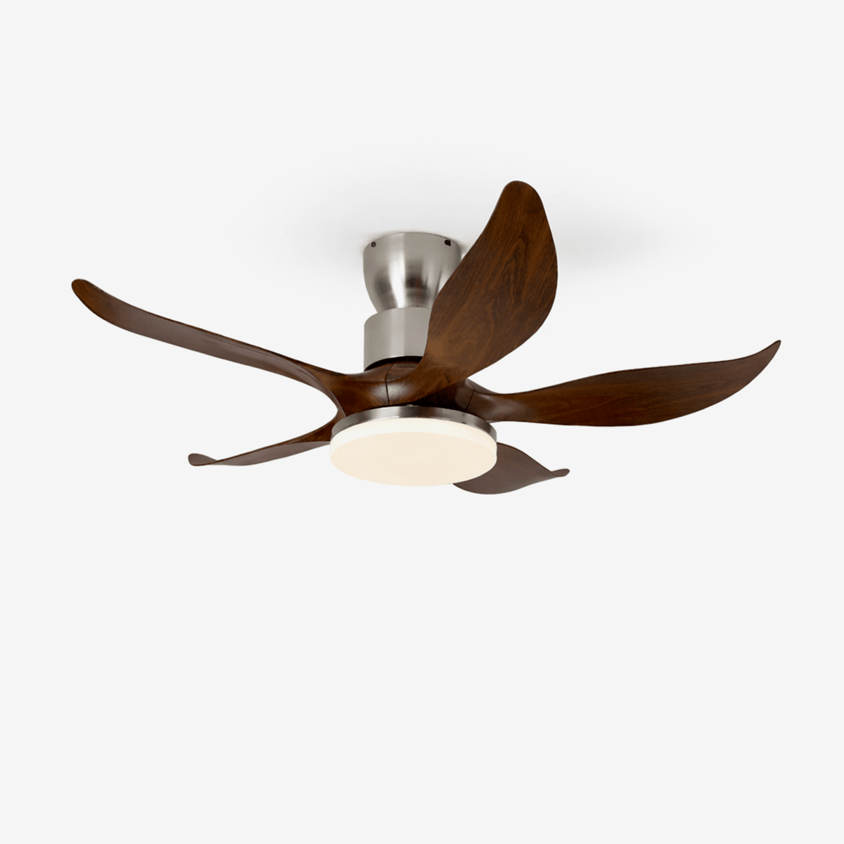 Plafonnier Ventilateur Celia 5 Pales
