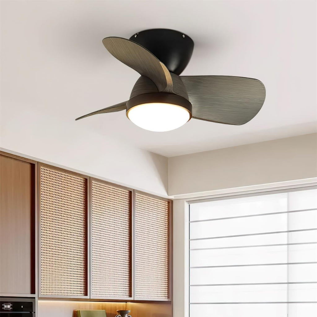 Plafonnier Ventilateur Ventra Compact