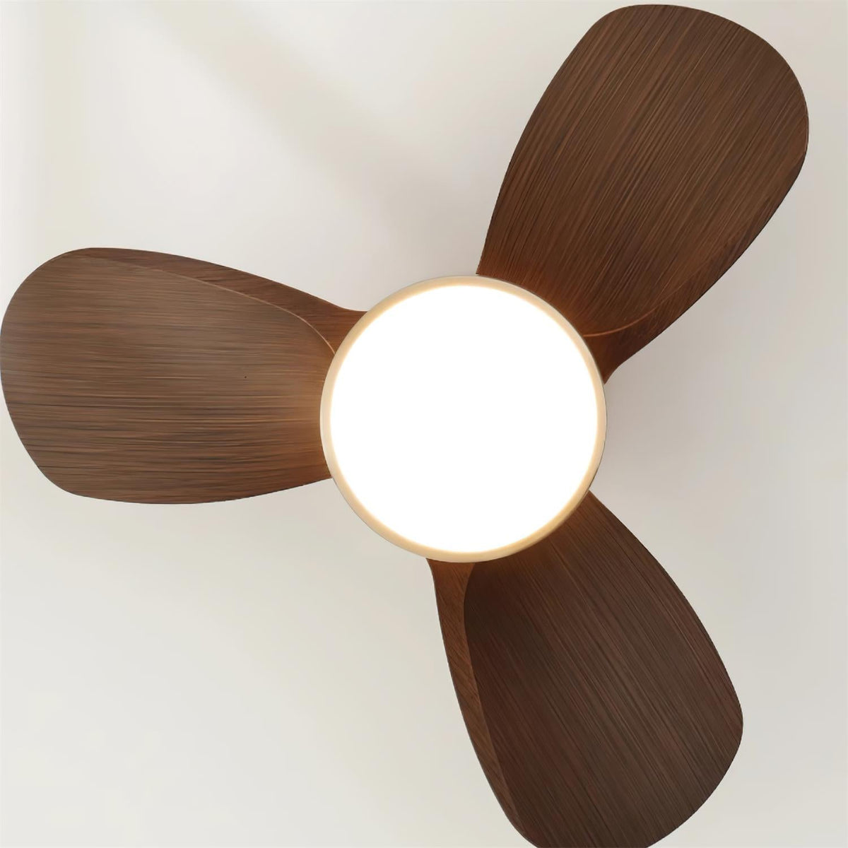 Plafonnier Ventilateur Ventra Compact