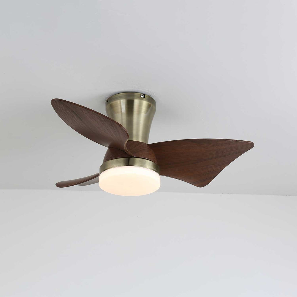 Plafonnier Ventilateur Caspian en Bois