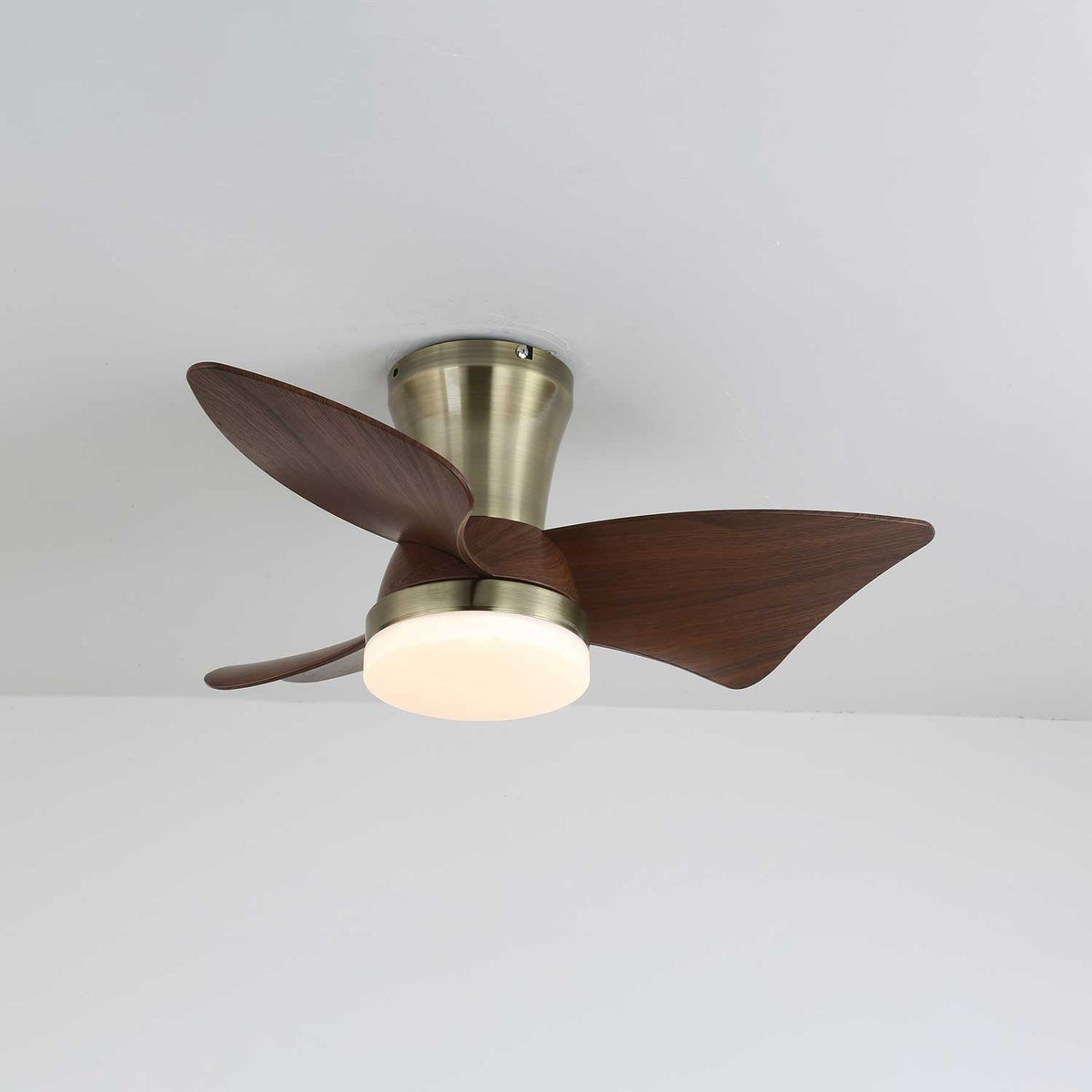 Plafonnier Ventilateur Caspian en Bois